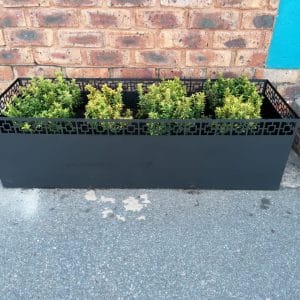 Decorative Flower Pot