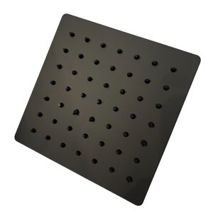 Stainless Steel Shower Head