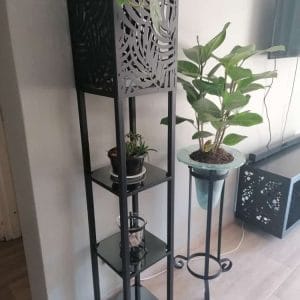 Light Shelve